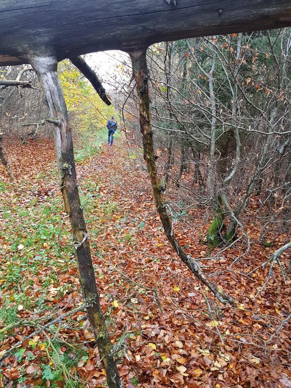 Am Sternberg 236 *